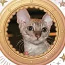 MonicaLagerquist